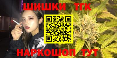 индика Обь