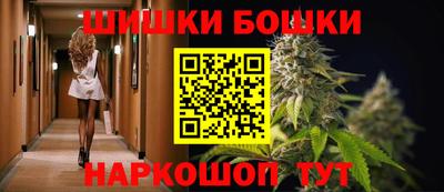 индика Обь