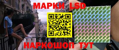 индика Обь